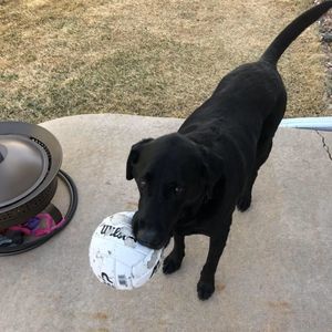 Meet your Posher, Greg